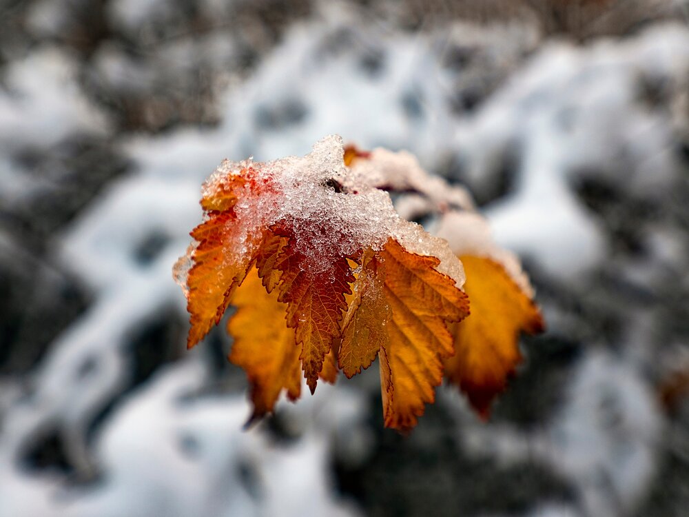 Photograph by Дмитрий Потапов