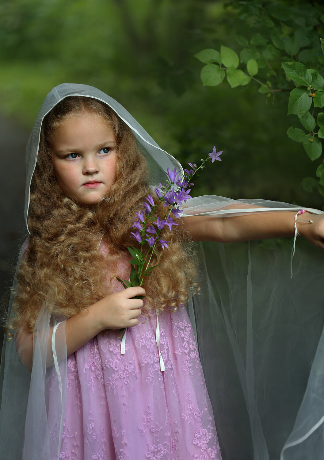 Photo #14009939