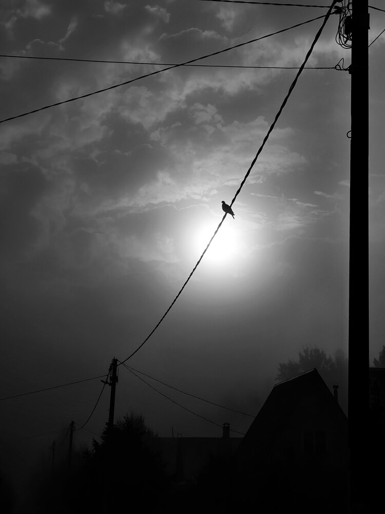 Photo #14010092
