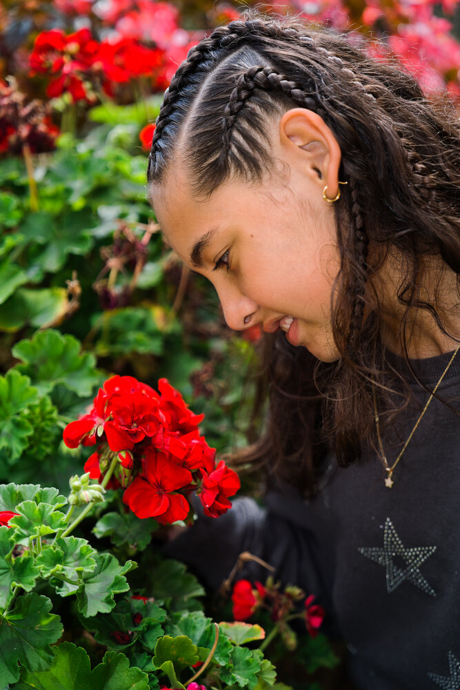 Scarlet Harmony and Youth