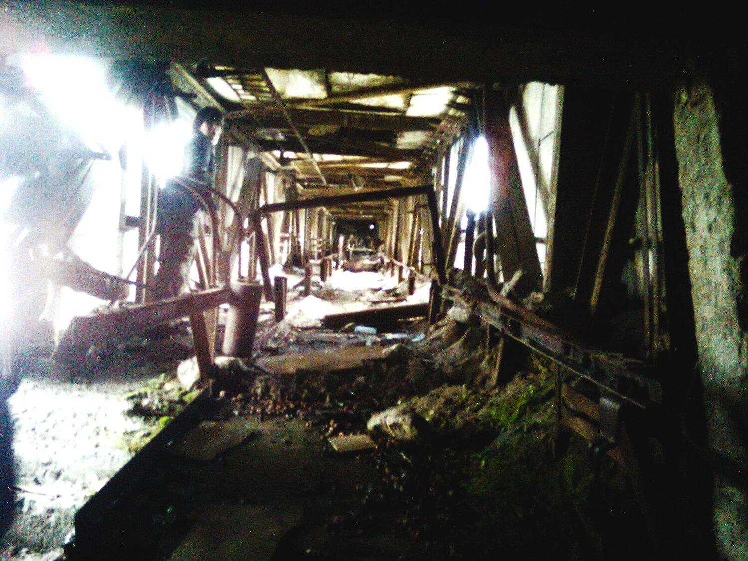 Photo #14010239