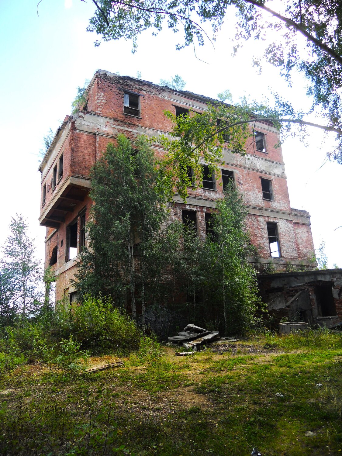 Photo #14010240