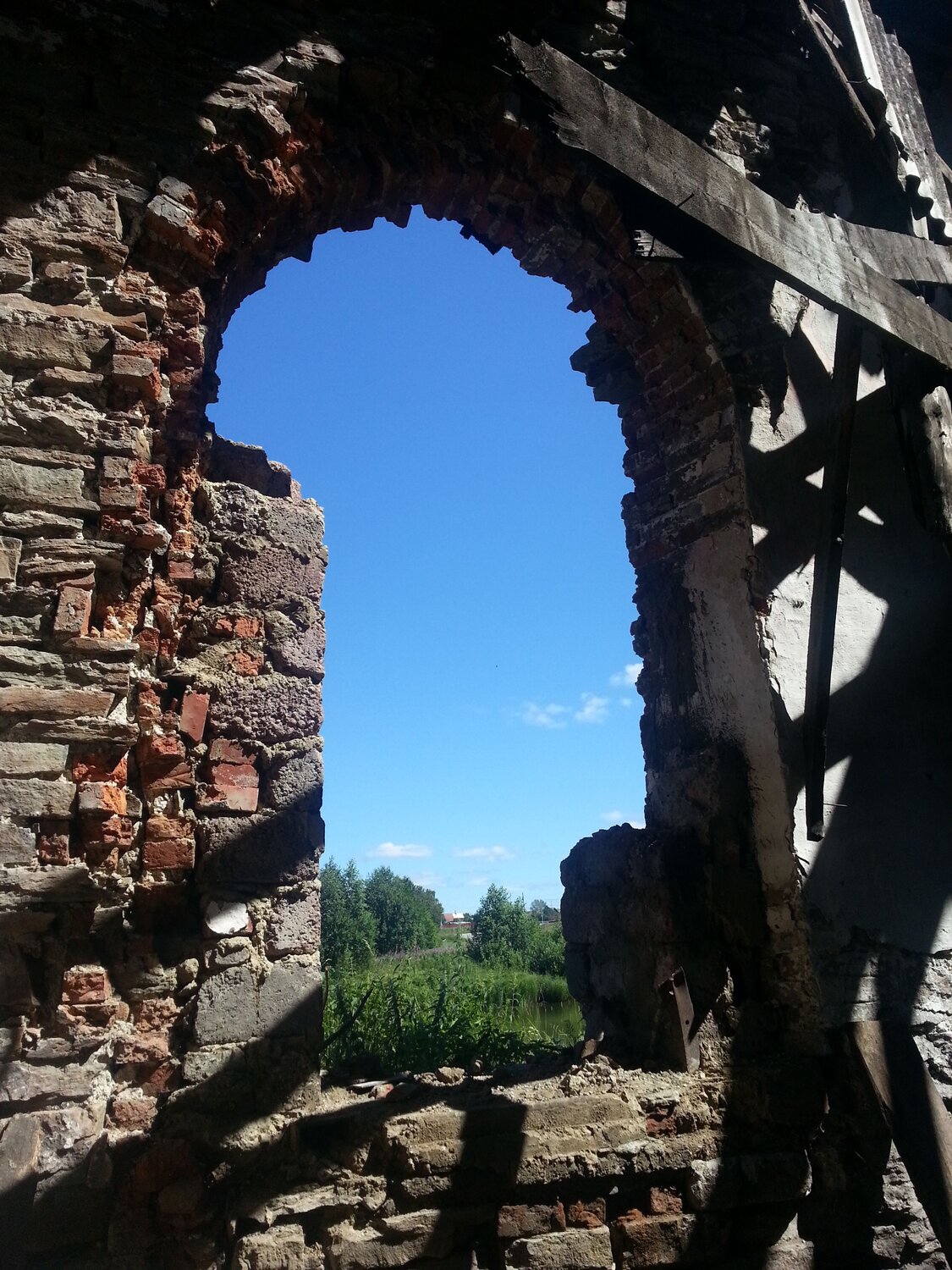 Photo #14010242