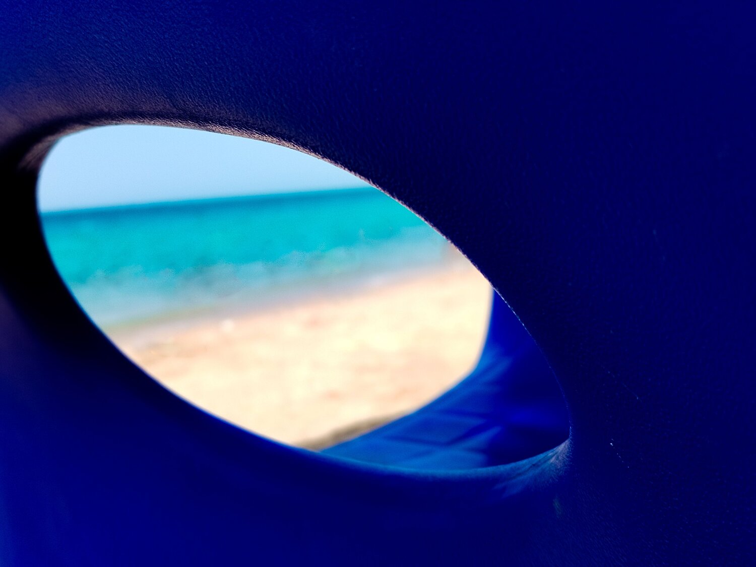 Photo #14010316