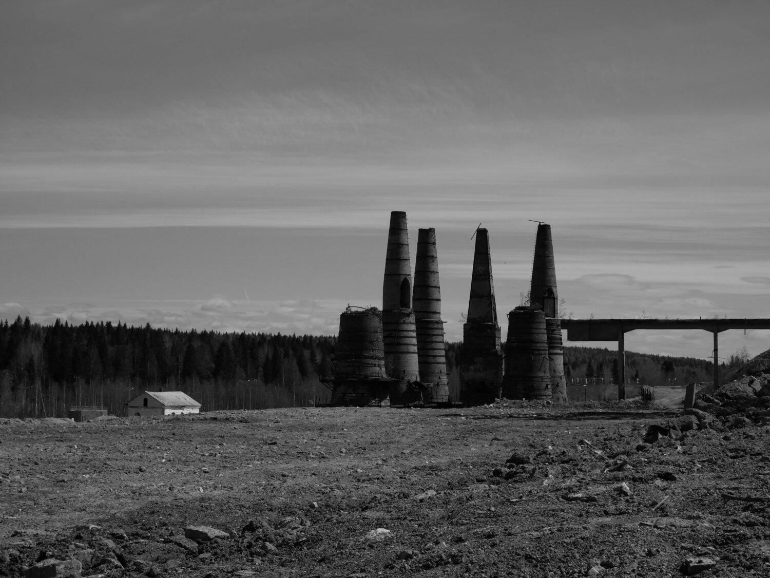 Photo #14010349