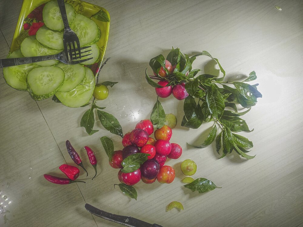 Food photography