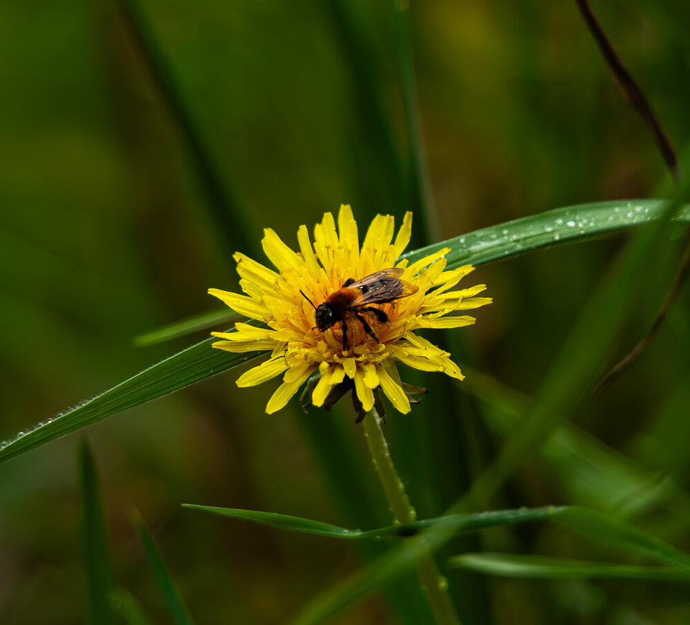 Photograph by Antrico Norwe
