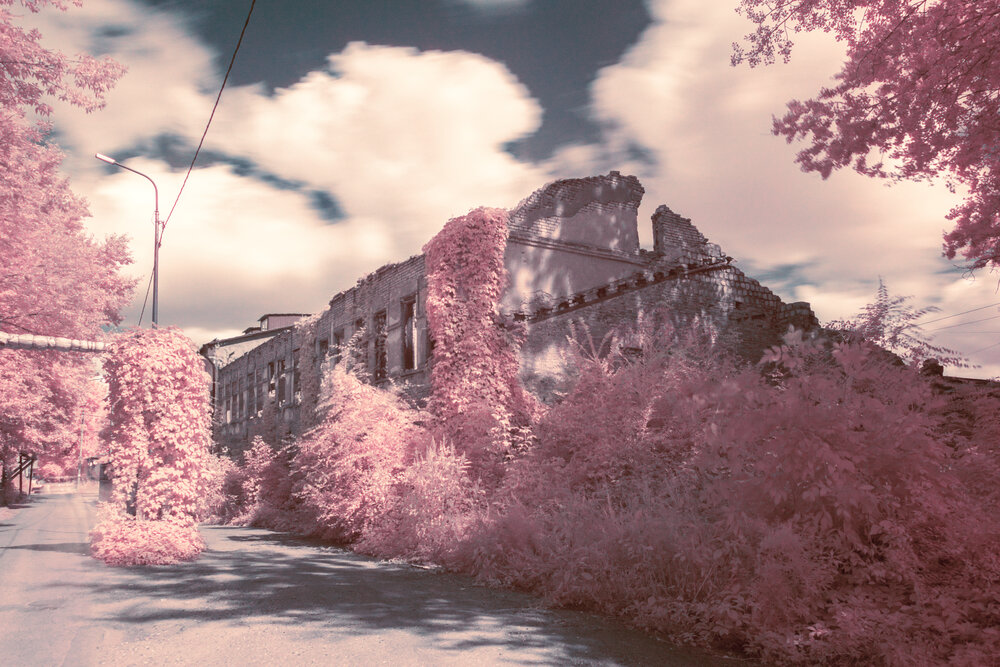 Photograph by Екатерина Свитенко