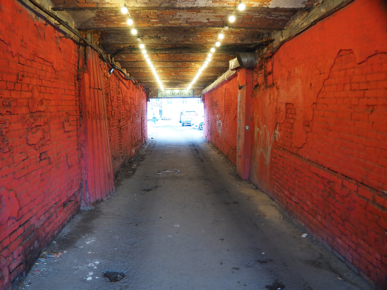Photo #14010552