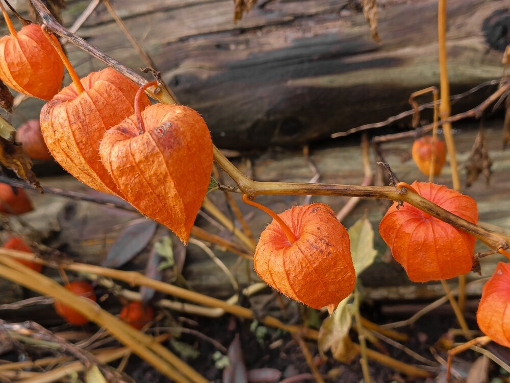 Photograph by Валентина Анюхина