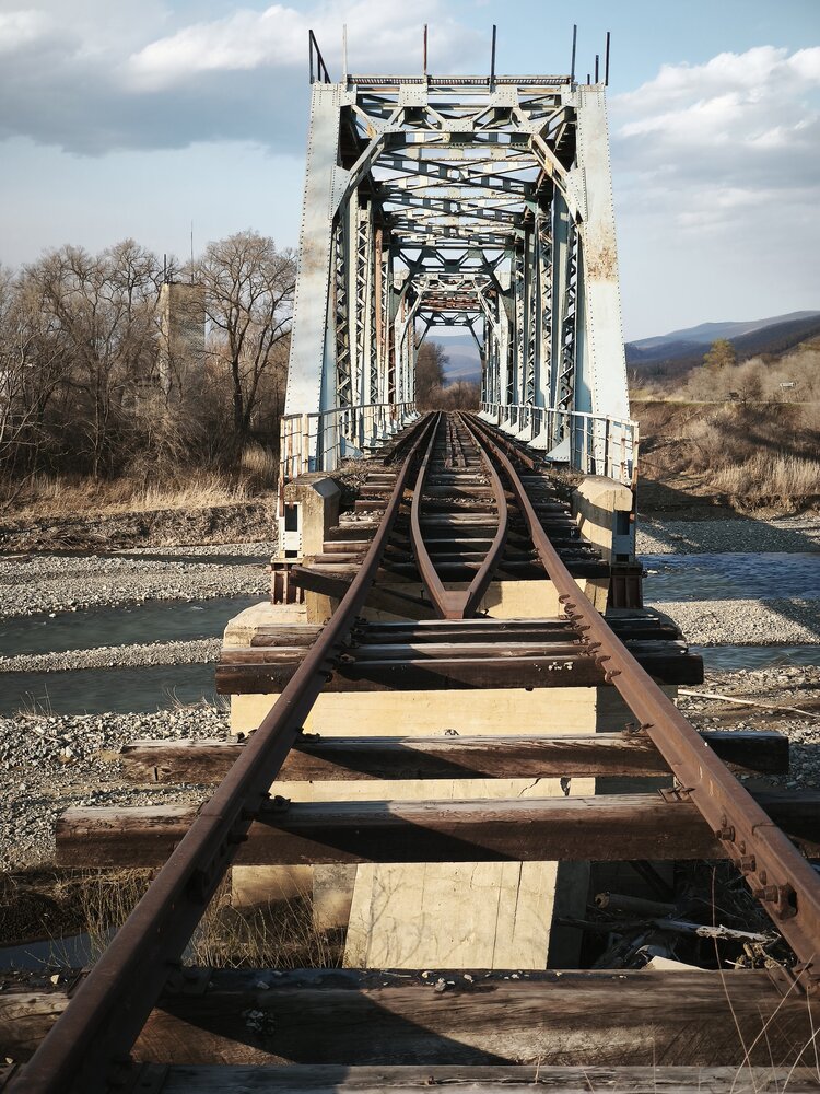 Photo #14010578