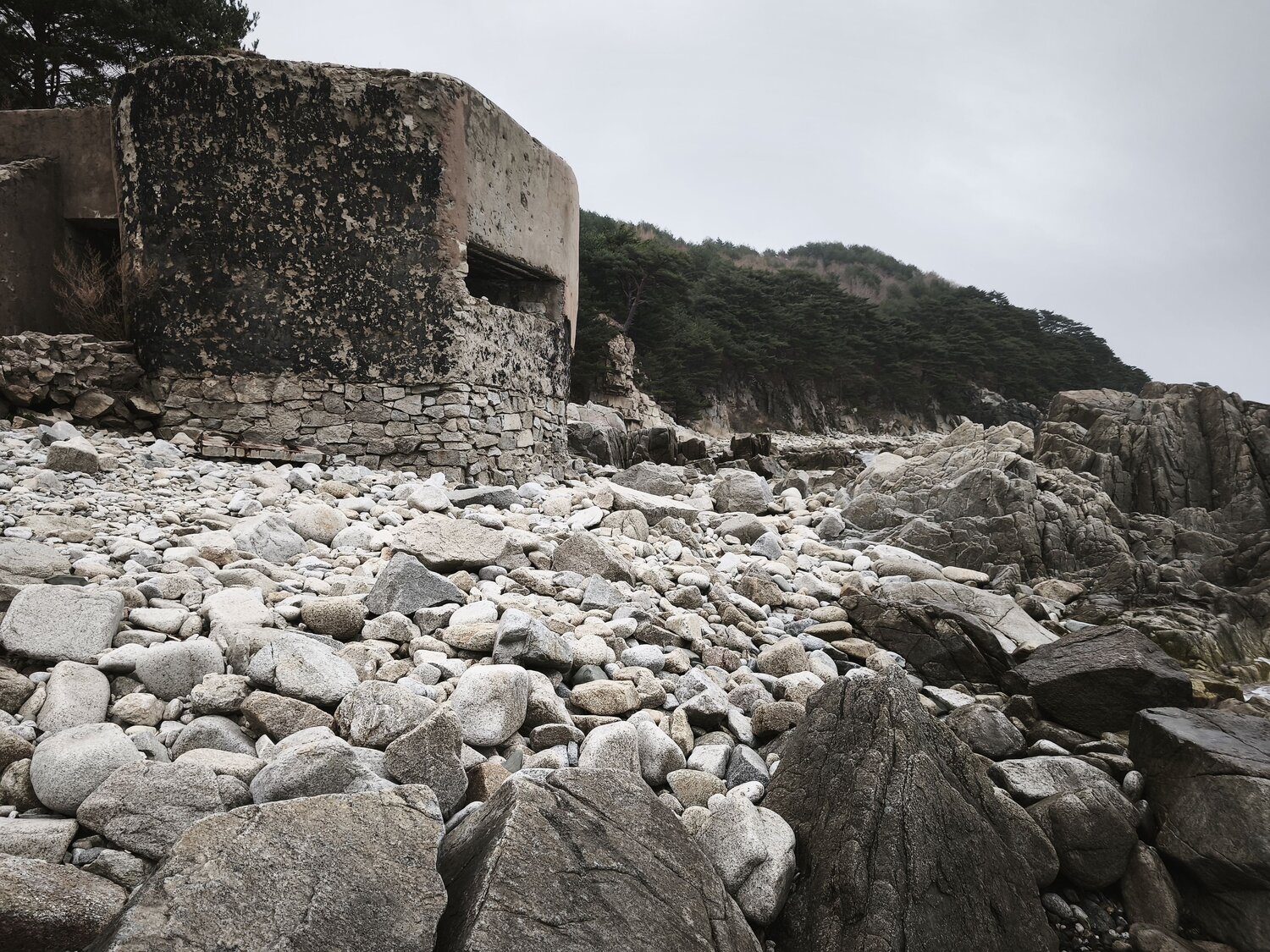Photo #14010586