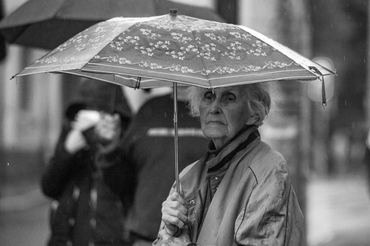 Photo #14010621