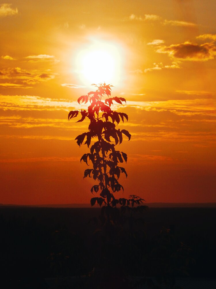 Photograph by Дарья Глухова