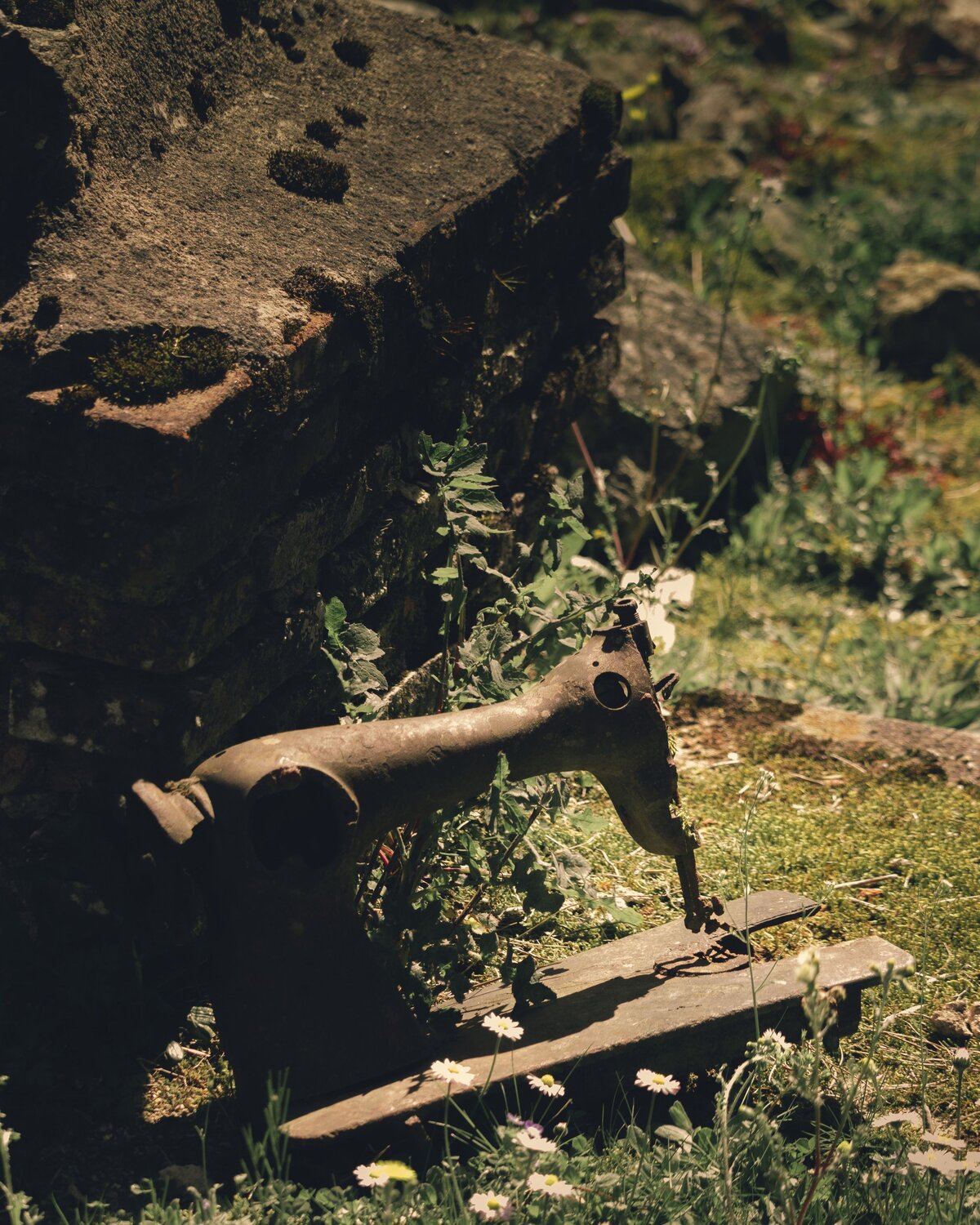 Photo #14010775