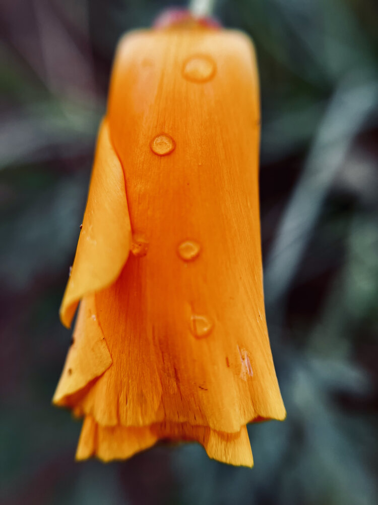 Photograph by Татьяна Михайловна