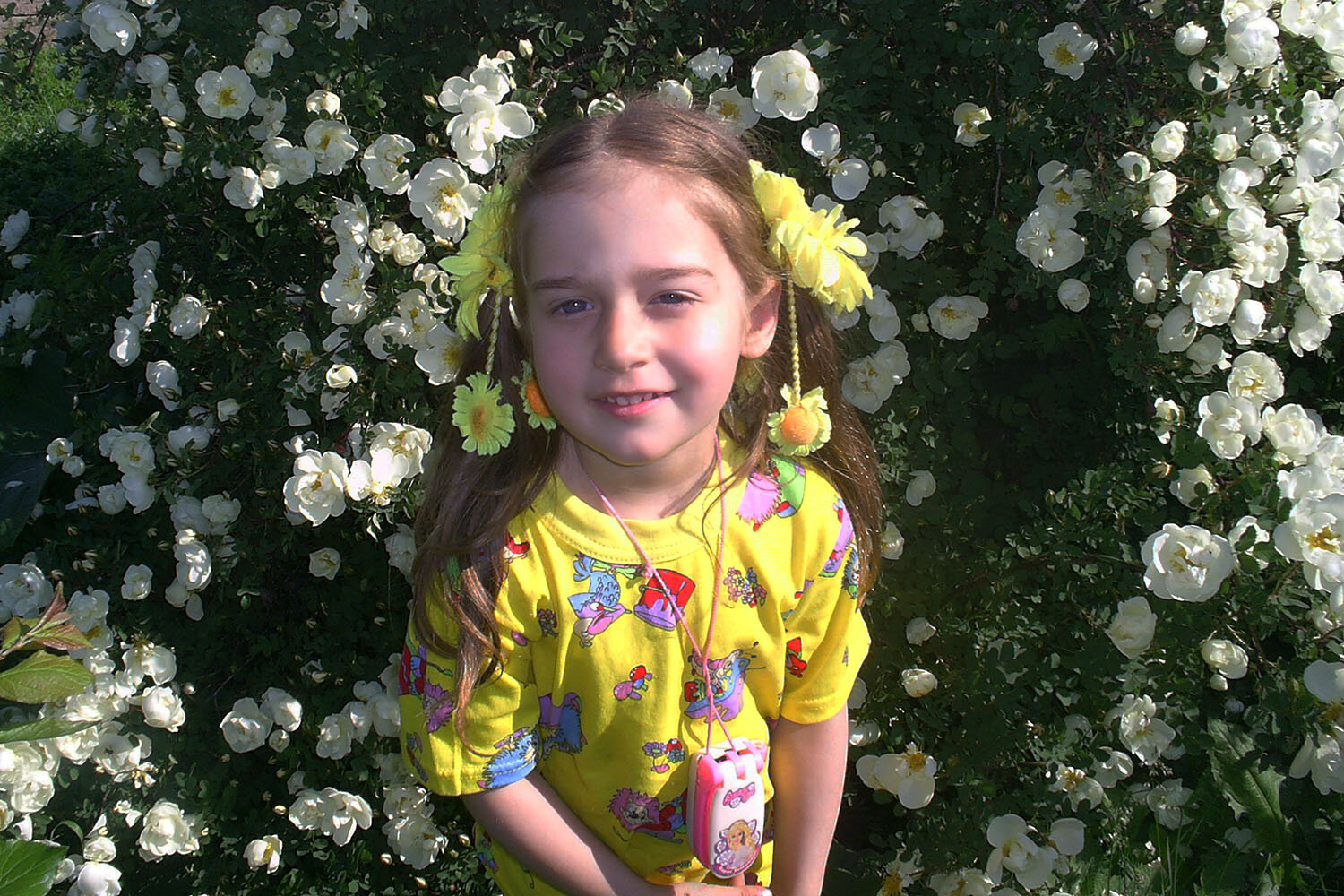 Photo #14011016