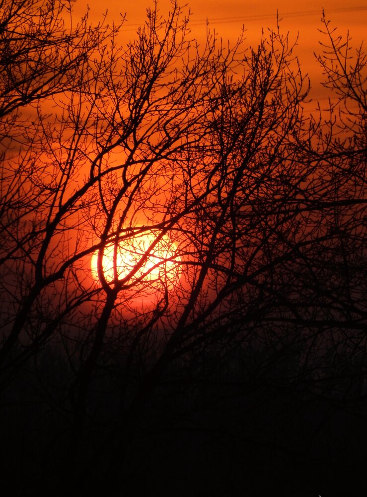 Photograph by Дарья Глухова