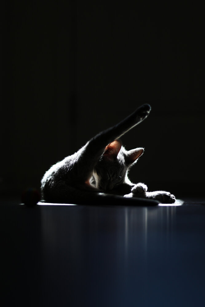 Photograph by Anastasiia Terentieva