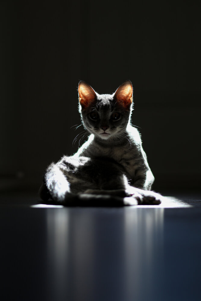 Photograph by Anastasiia Terentieva