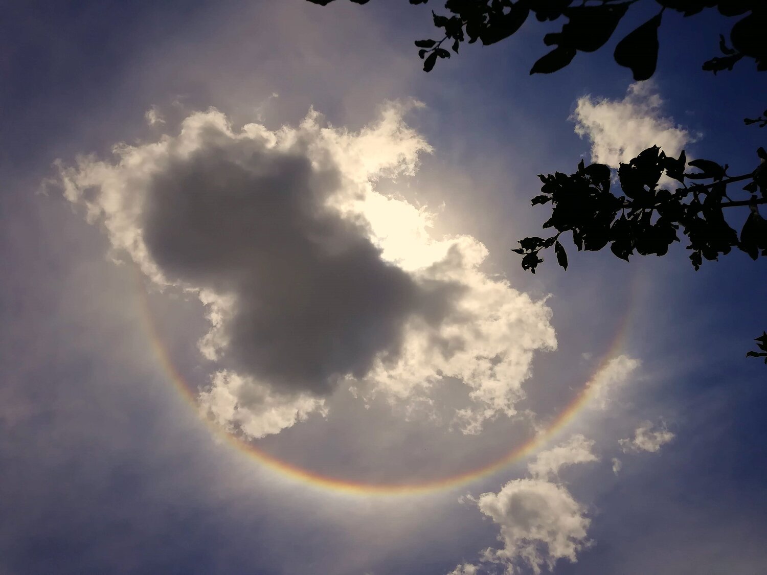 Rainbow Halo