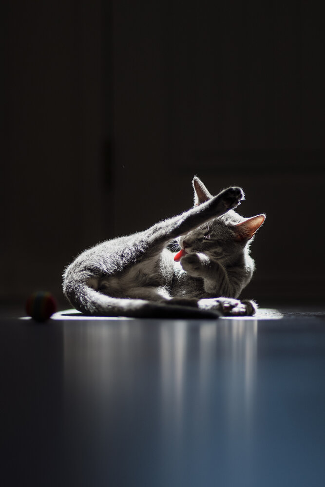 Photograph by Anastasiia Terentieva