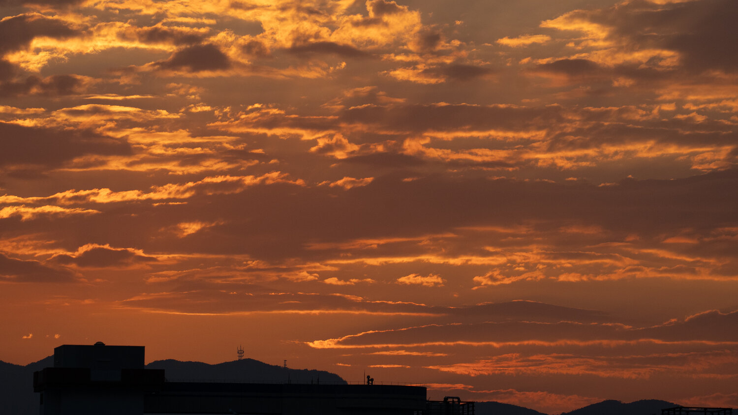 Photo #14011158