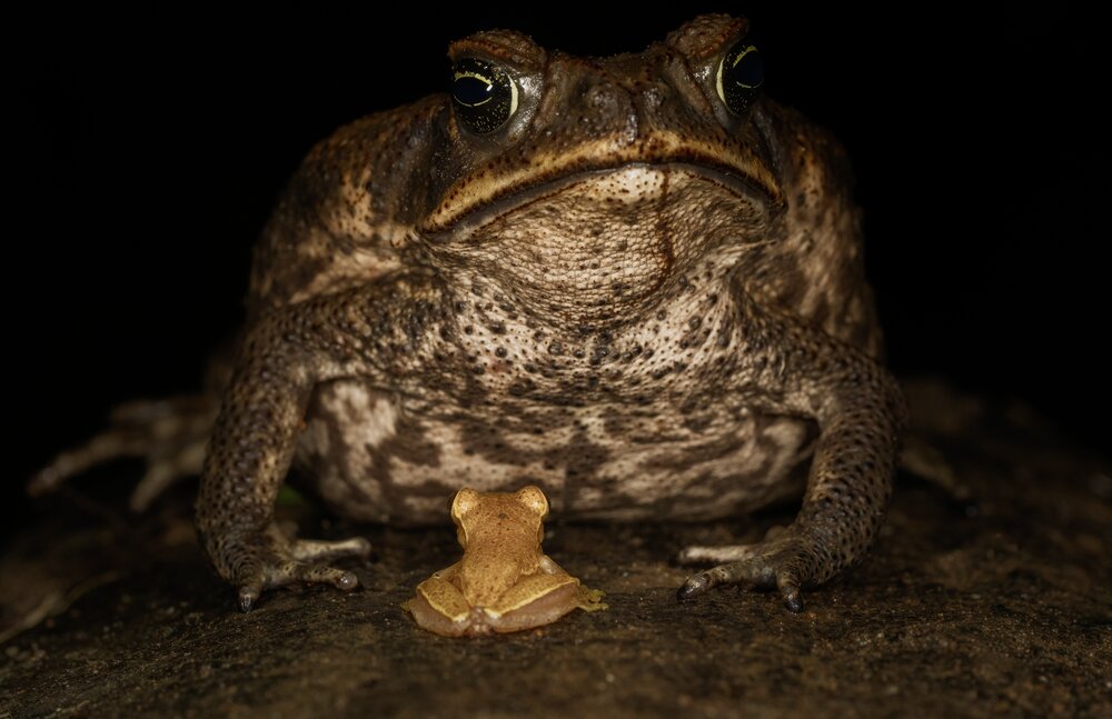 Photograph by Владимир Цветов