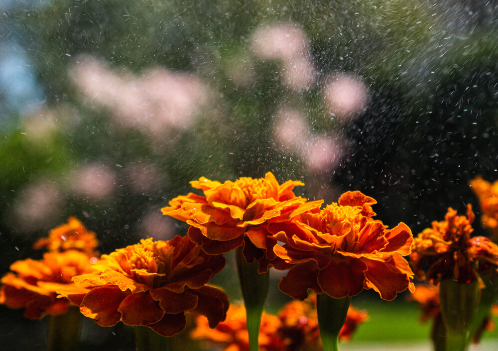 Photograph by Екатерина