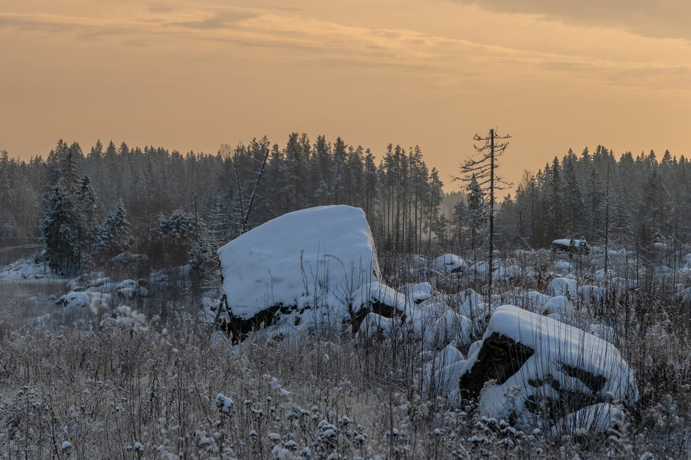 Photograph by Юлия Куликова