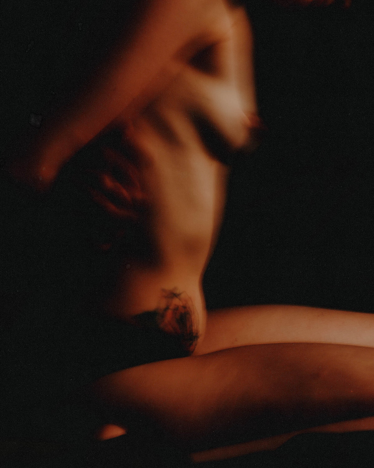 Photo #14011298