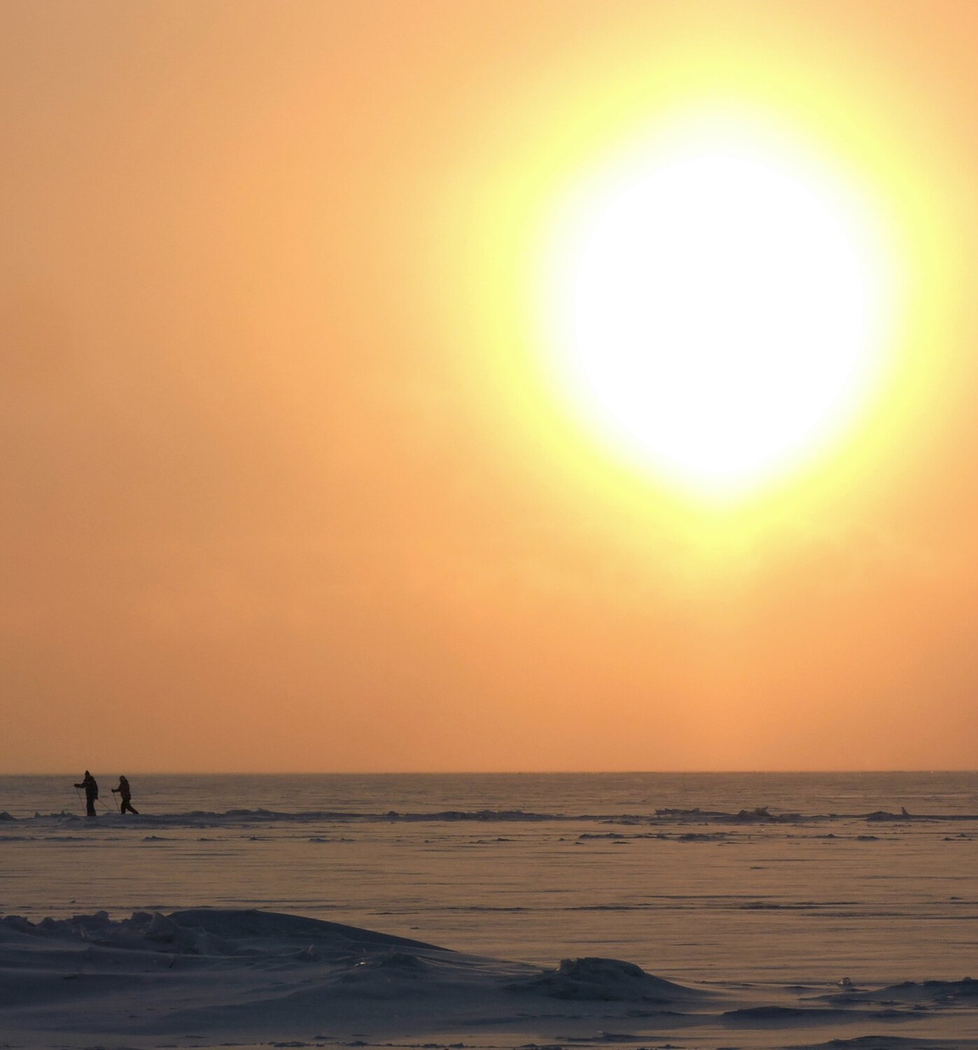 Photo #14011385