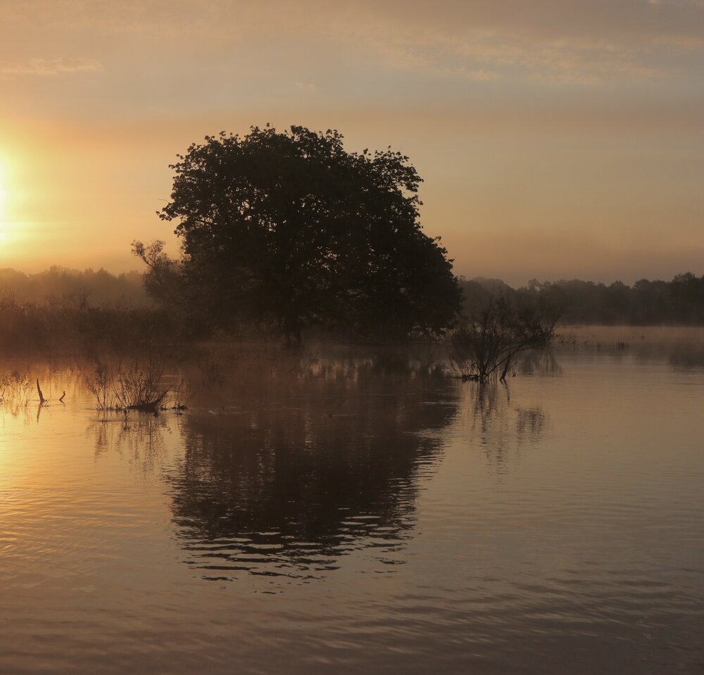Photograph by Светлана Карпейчик