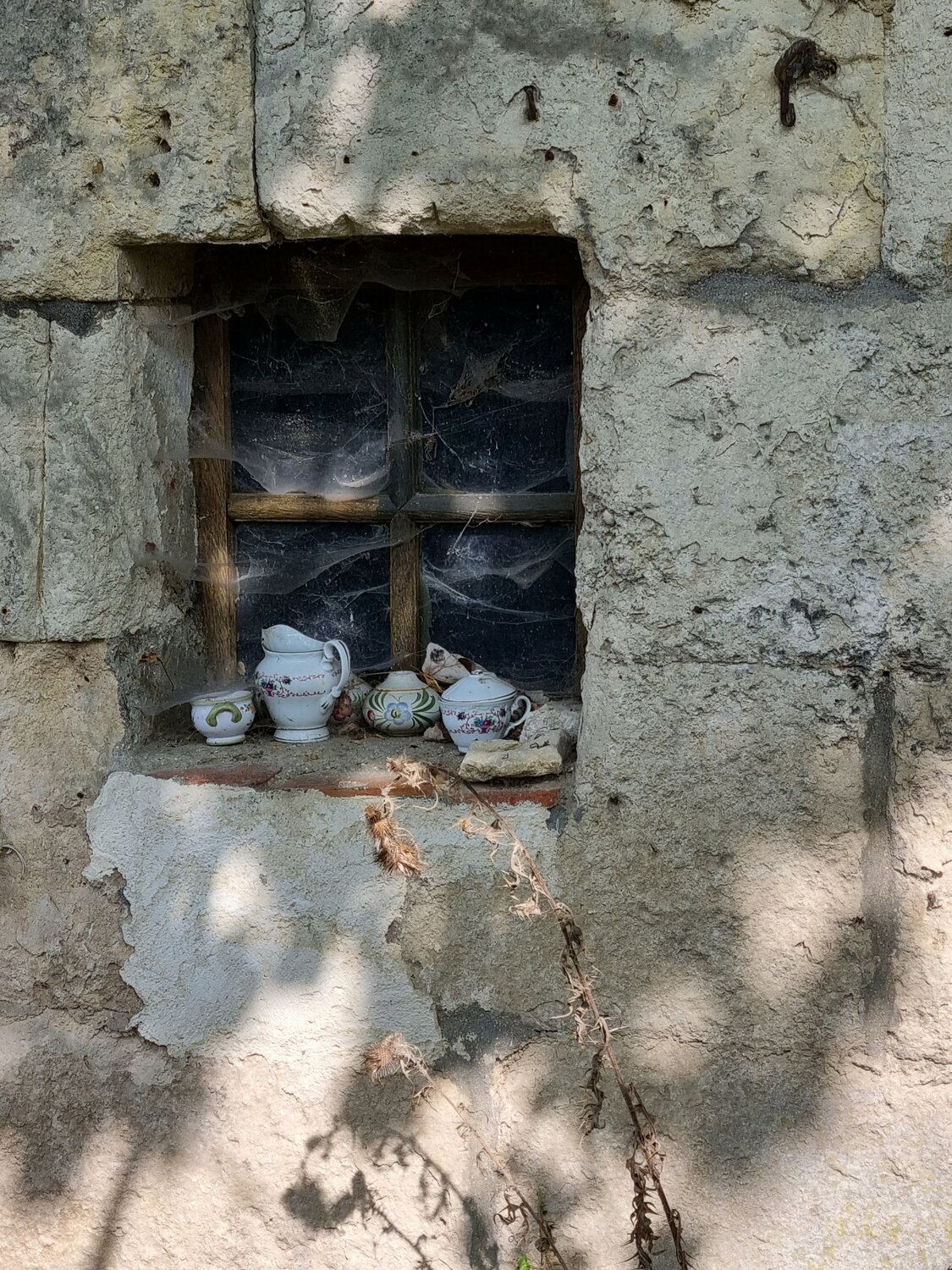 Photo #14011404