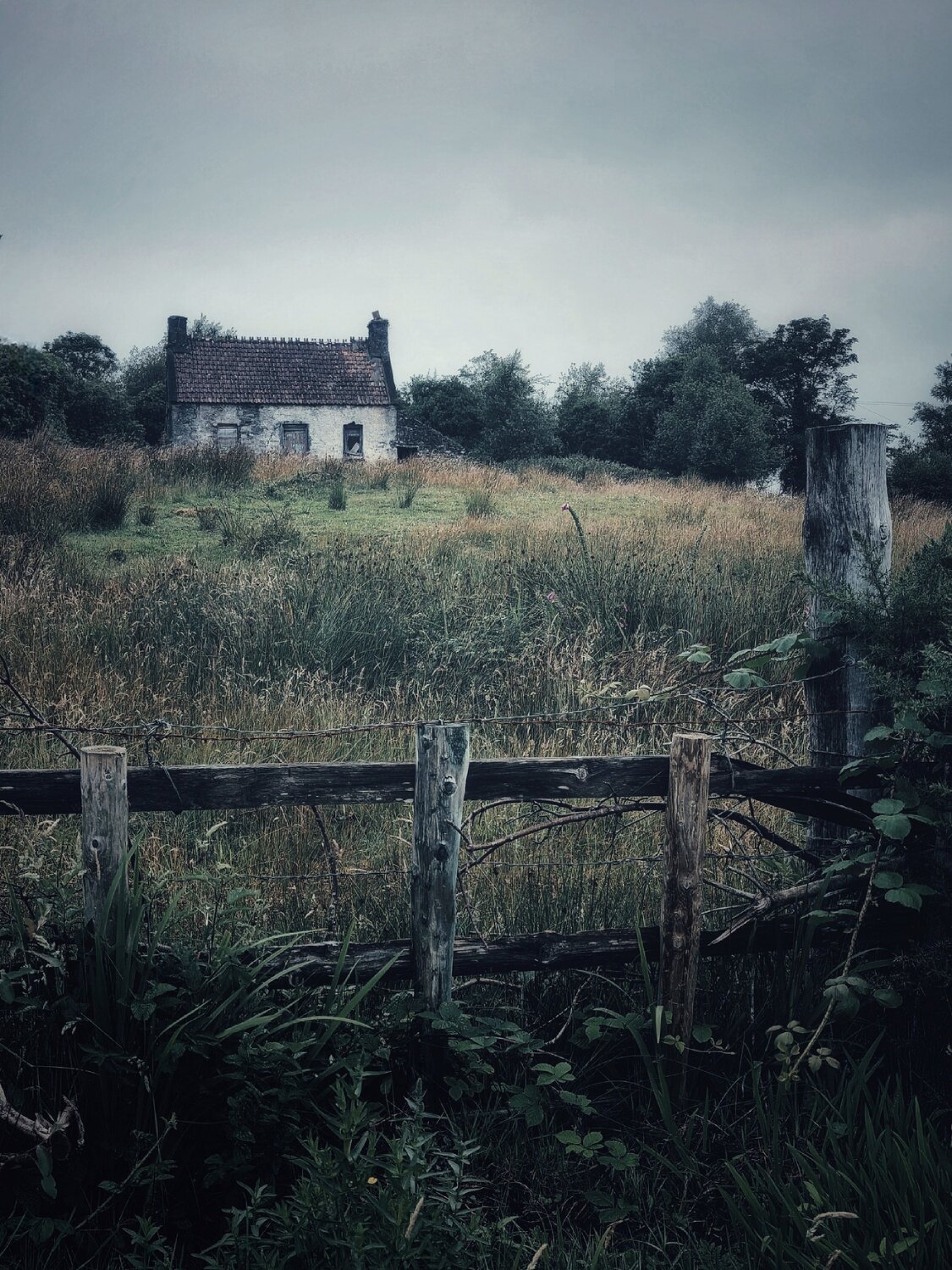 Photo #14011406