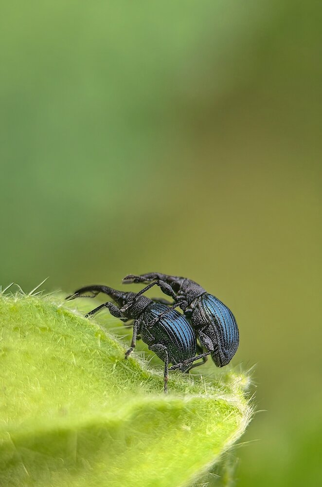 Photograph by Ксанка Севостьянова