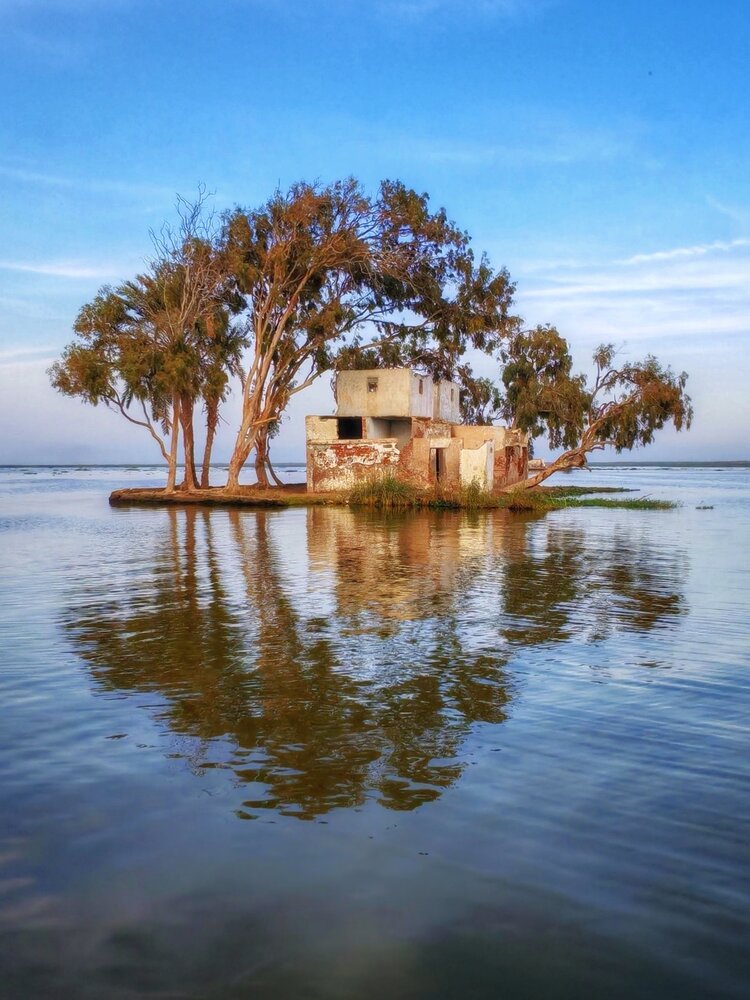 Photograph by hossam Hassan