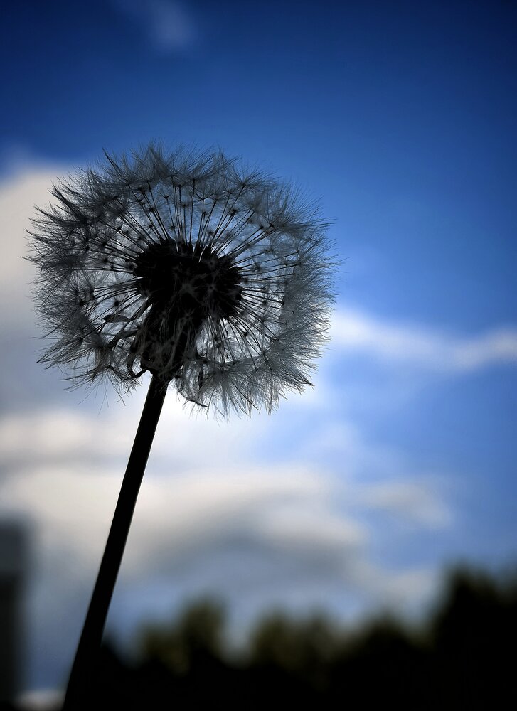 Photograph by Жереченко Юлия