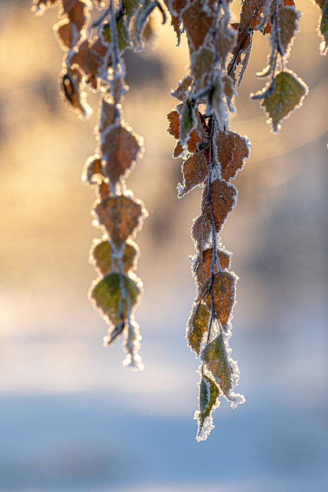 Photograph by Юлия Куликова