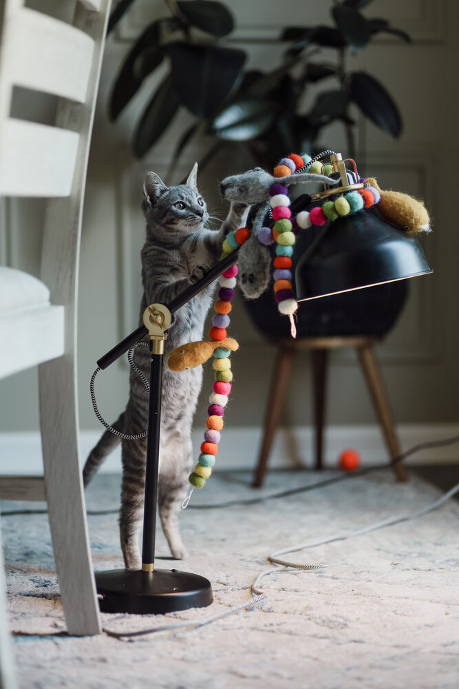Photograph by Anastasiia Terentieva