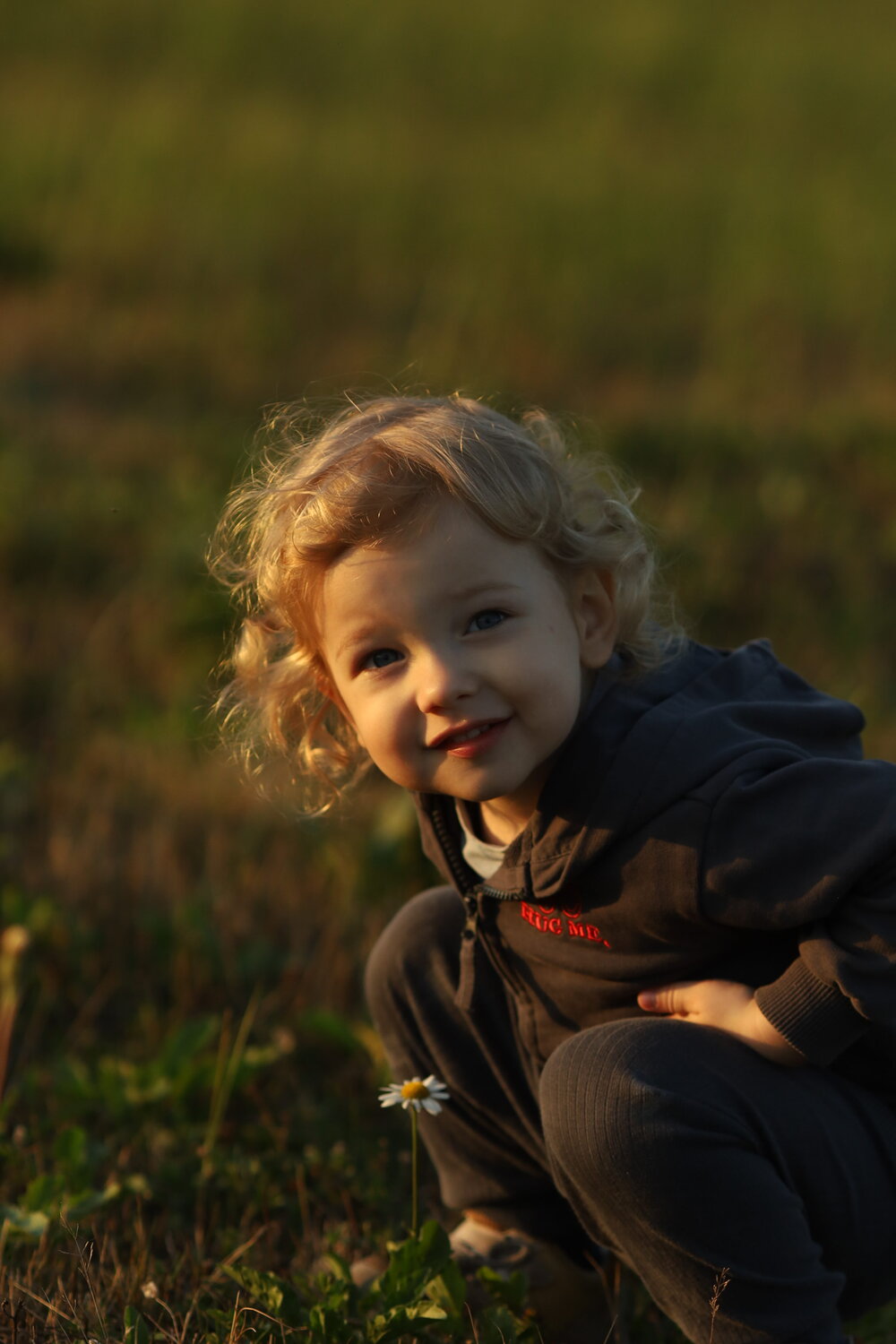 Photo #14011665