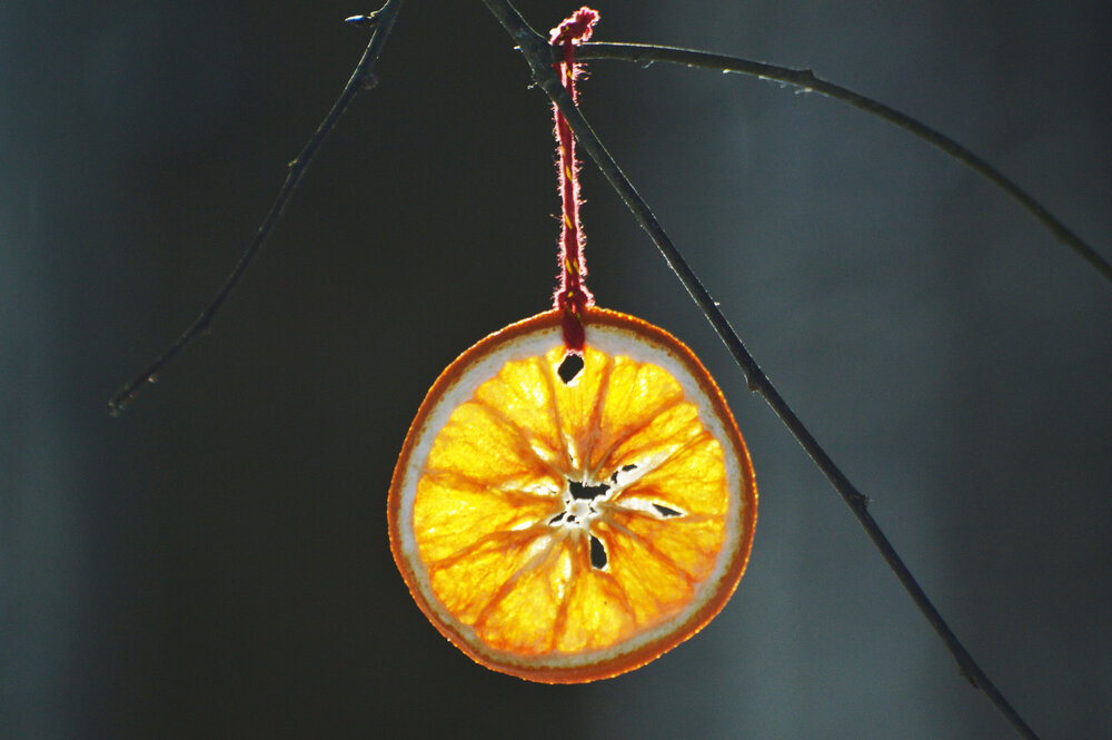 Photograph by Елена Максимова