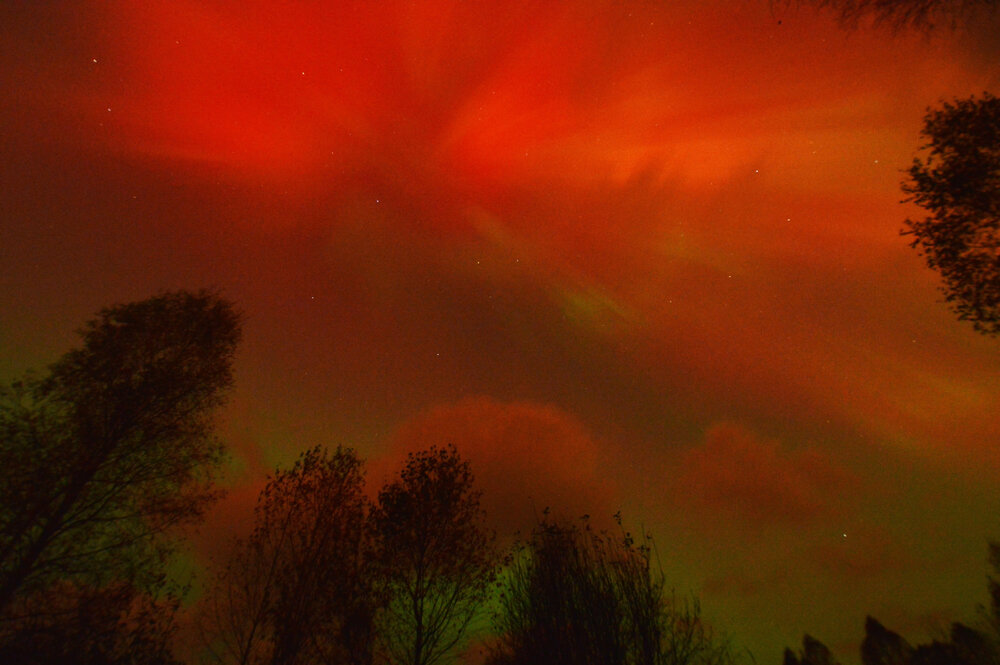 Photograph by Елена Максимова