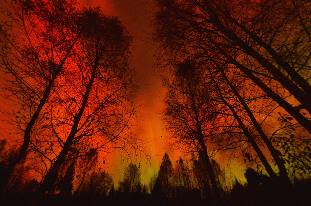 Photograph by Елена Максимова