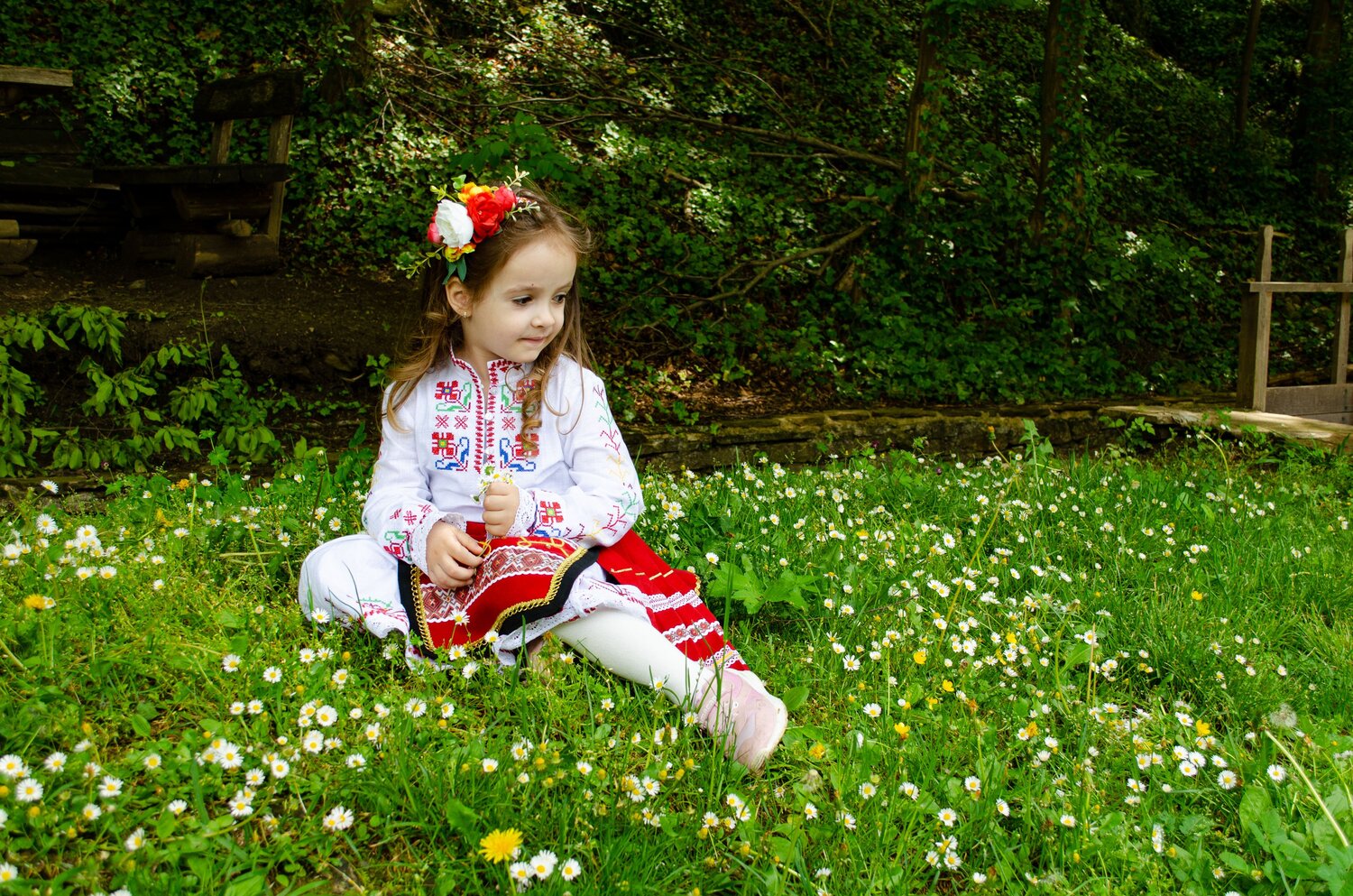 Photo #14011858