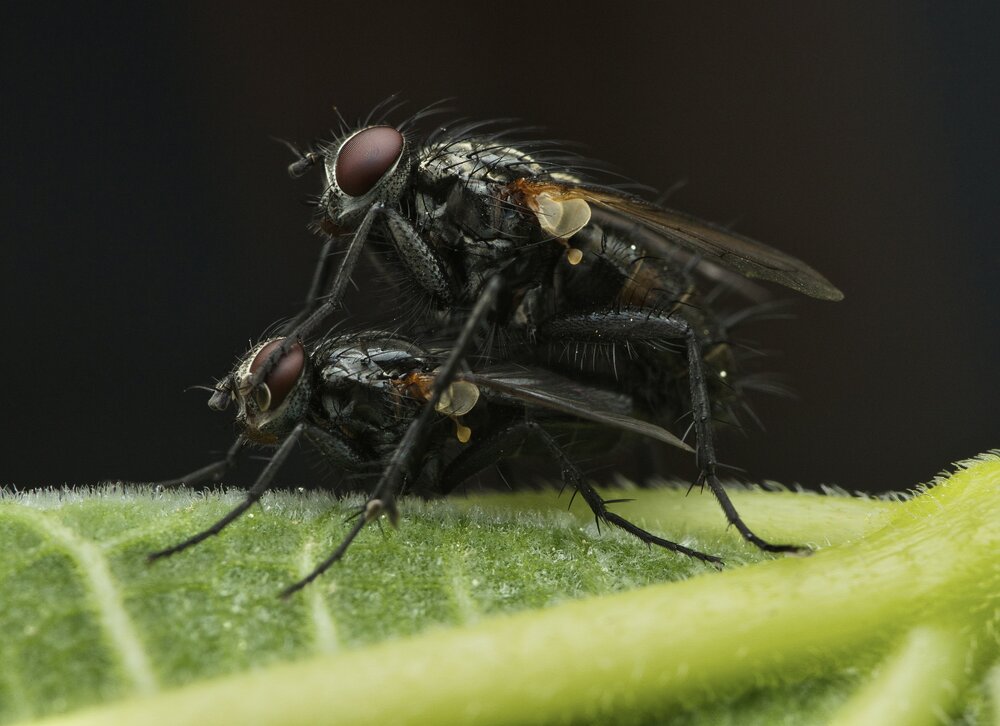 Photograph by Eduardo Salvador Cabrera