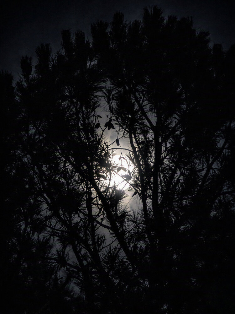 Photograph by Jeff Cooley