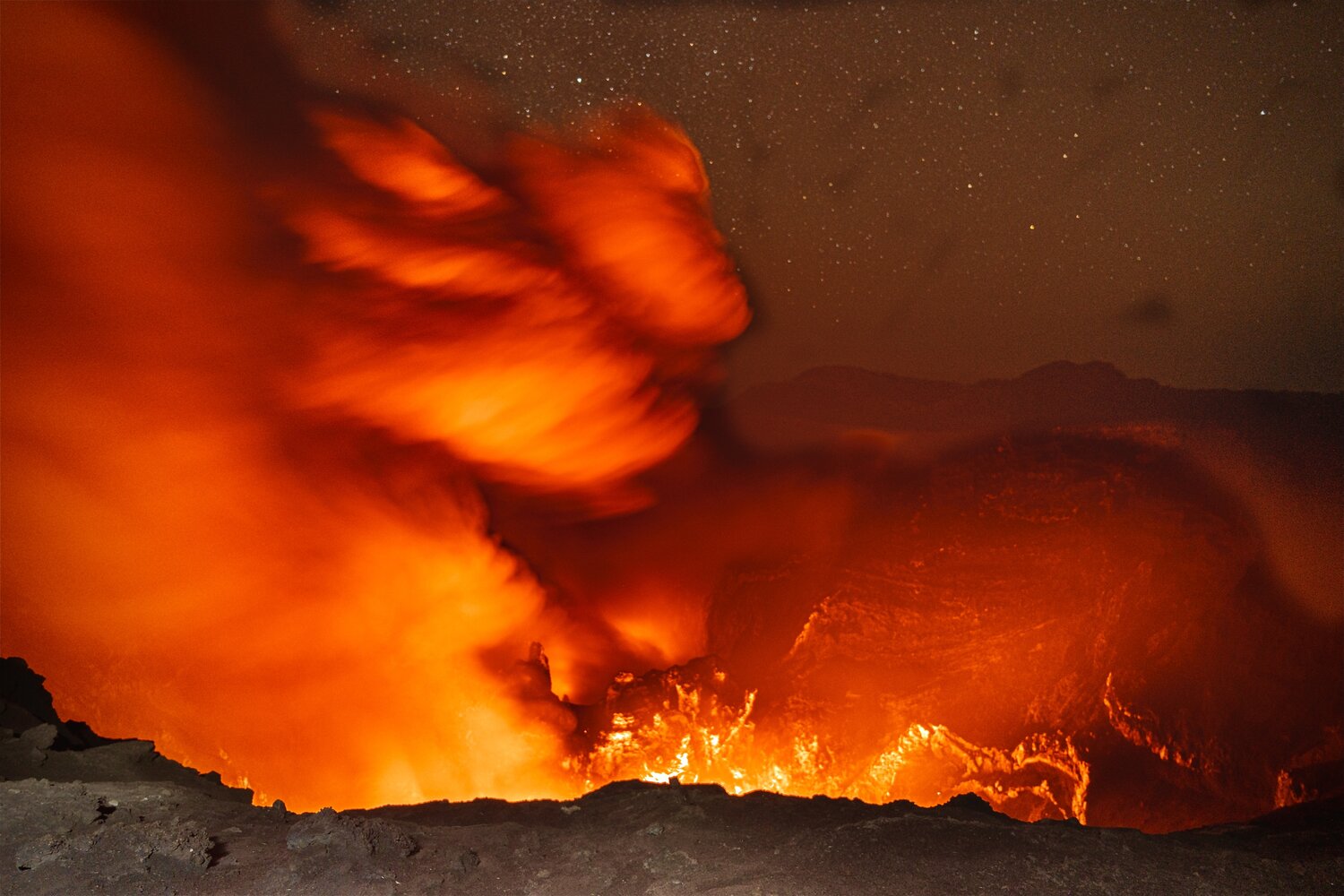 Photo #14012055