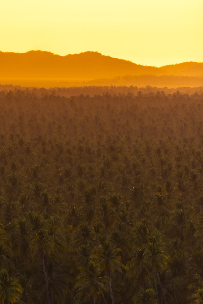 Photograph by Jorge Antonio Manjarrez Castellanos