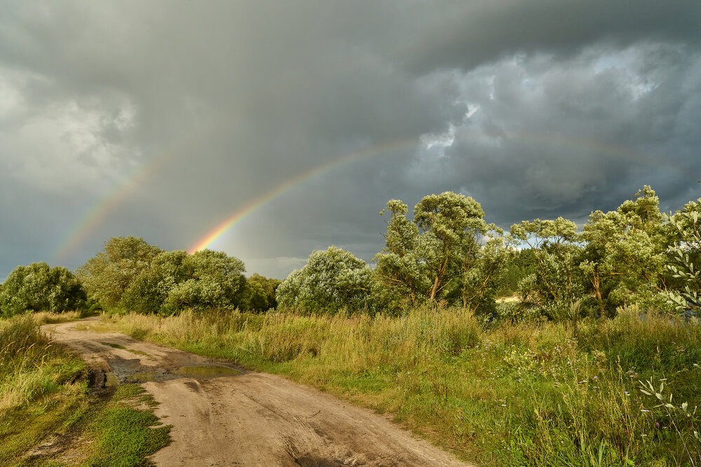 Photograph by Александр Еремин